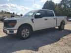 Lot #3294379109 2024 FORD F150 XL