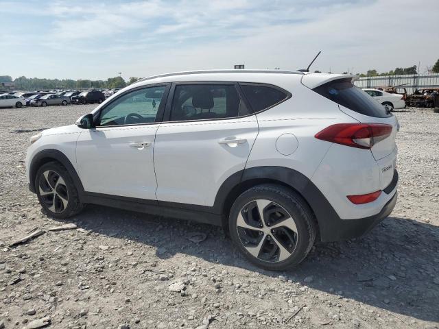 2016 HYUNDAI TUCSON LIM - KM8J33A26GU116797