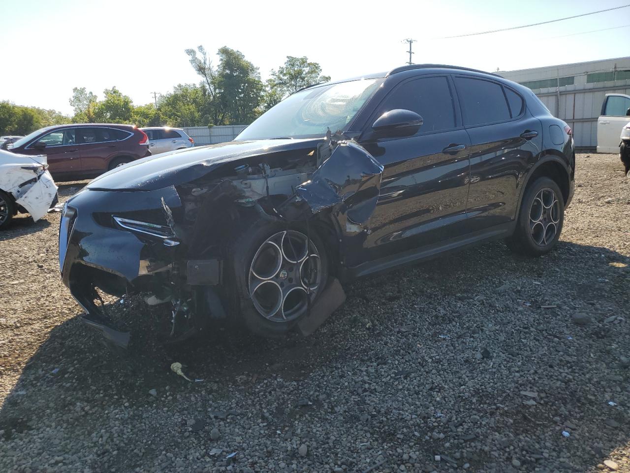 ALFA ROMEO STELVIO SPORT