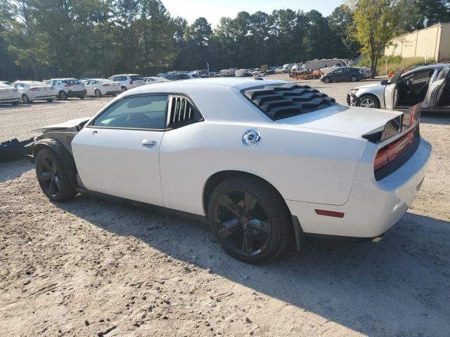 2013 DODGE CHALLENGER SXT - 2C3CDYAG4DH524852