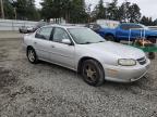 Lot #3316081246 2002 CHEVROLET MALIBU LS