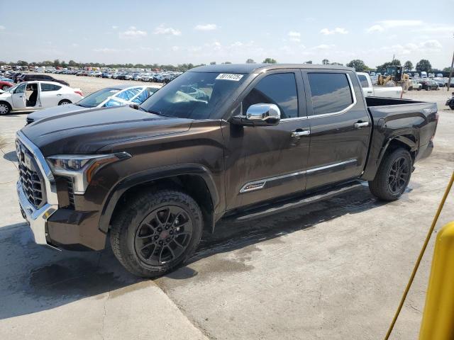 2025 TOYOTA TUNDRA CREWMAX PLATINUM 5TFMA5DB2SX315626