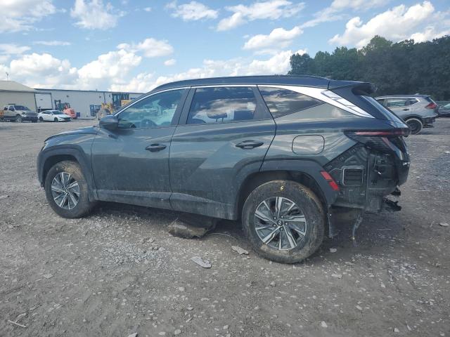 2022 HYUNDAI TUCSON BLUE KM8JBCA12NU024433