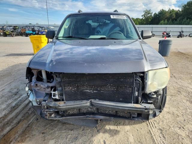 2011 FORD ESCAPE XLT - 1FMCU0DG4BKC21712