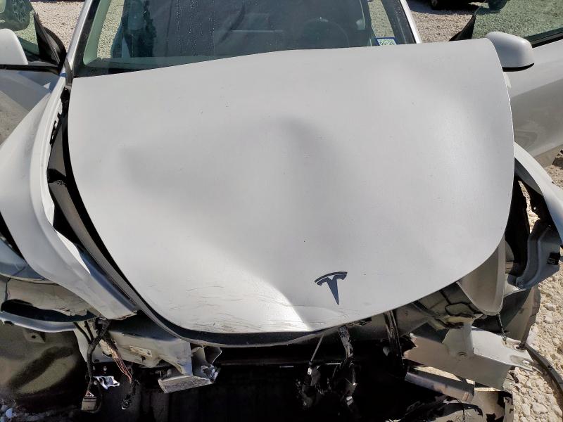 2024 TESLA MODEL Y - 7SAYGDEE9RA289842