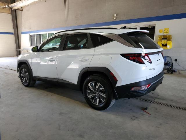 2024 HYUNDAI TUCSON BLU KM8JBCD1XRU154834