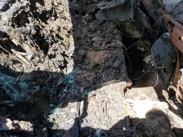 2017 TOYOTA CAMRY XSE 4T1BK1FK5HU031567