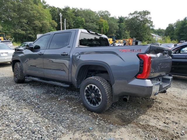 2022 TOYOTA TUNDRA CRE 5TFLA5DB5NX033867