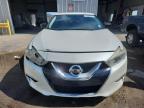 Lot #3296272432 2016 NISSAN MAXIMA 3.5