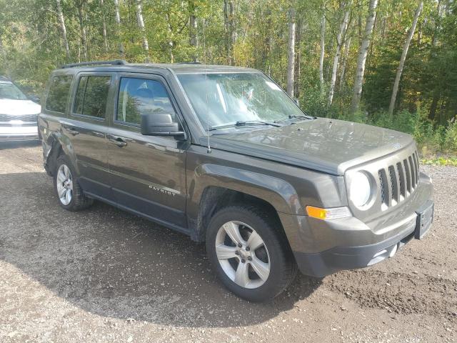 2015 JEEP PATRIOT 1C4NJRAB1FD135450