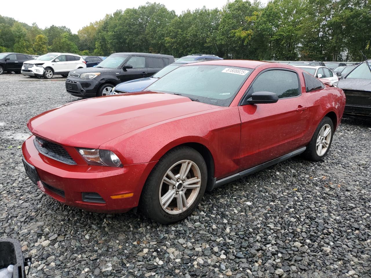 FORD MUSTANG