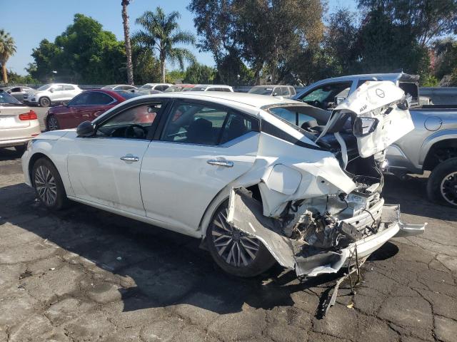 2025 NISSAN ALTIMA SV 1N4BL4DV3SN401311