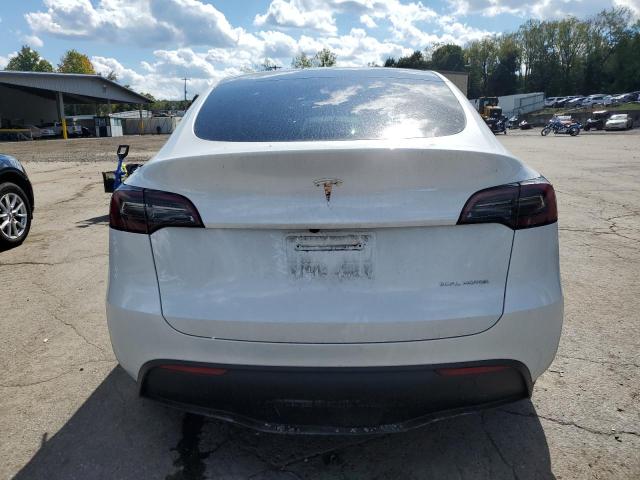 2023 TESLA MODEL Y #3304515561
