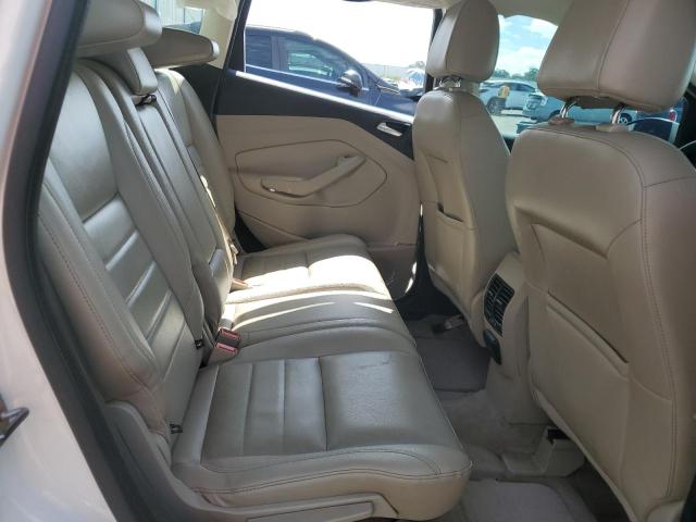 2016 FORD C-MAX SEL 1FADP5BU5GL120143