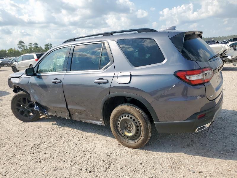 2025 HONDA PILOT ELIT 5FNYG1H88SB029670
