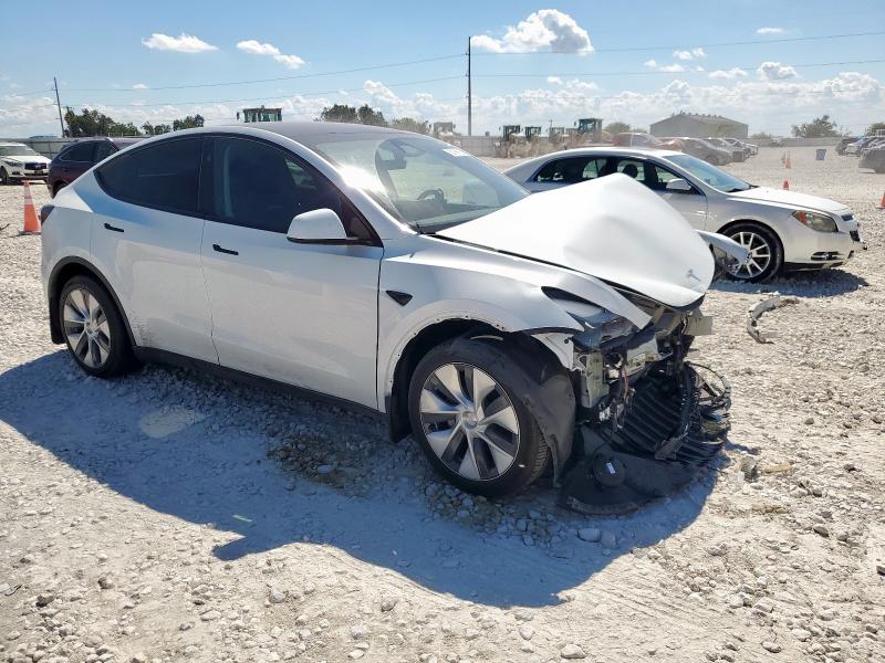 2024 TESLA MODEL Y - 7SAYGDEE9RA289842