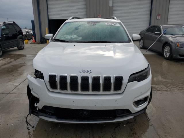 2019 JEEP CHEROKEE L 1C4PJLDBXKD429019