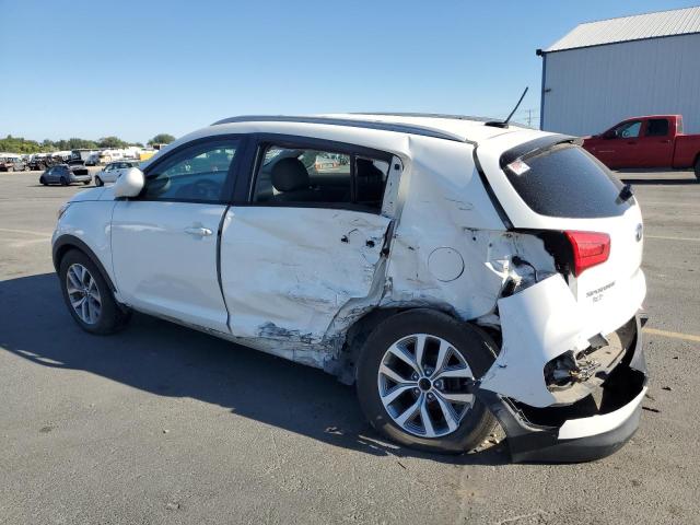 2016 KIA SPORTAGE LX KNDPB3AC7G7826347