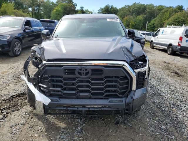 2022 TOYOTA TUNDRA CRE 5TFLA5DB5NX033867