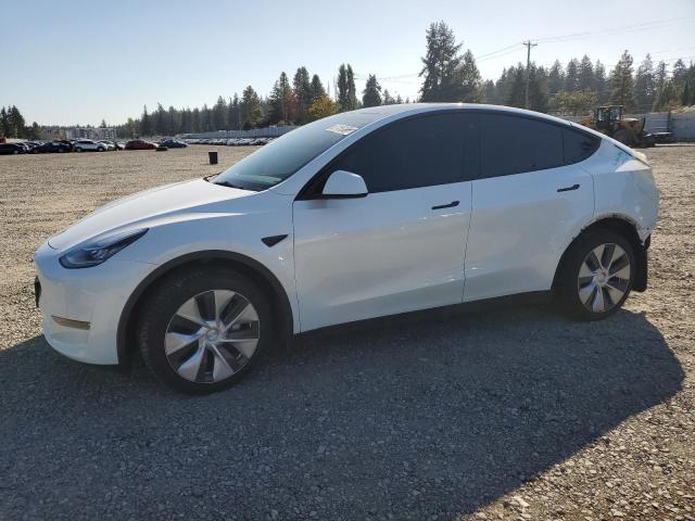 Global Auto Auctions: 2023 TESLA MODEL Y
