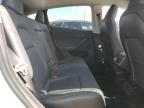 Lot #3304515561 2023 TESLA MODEL Y