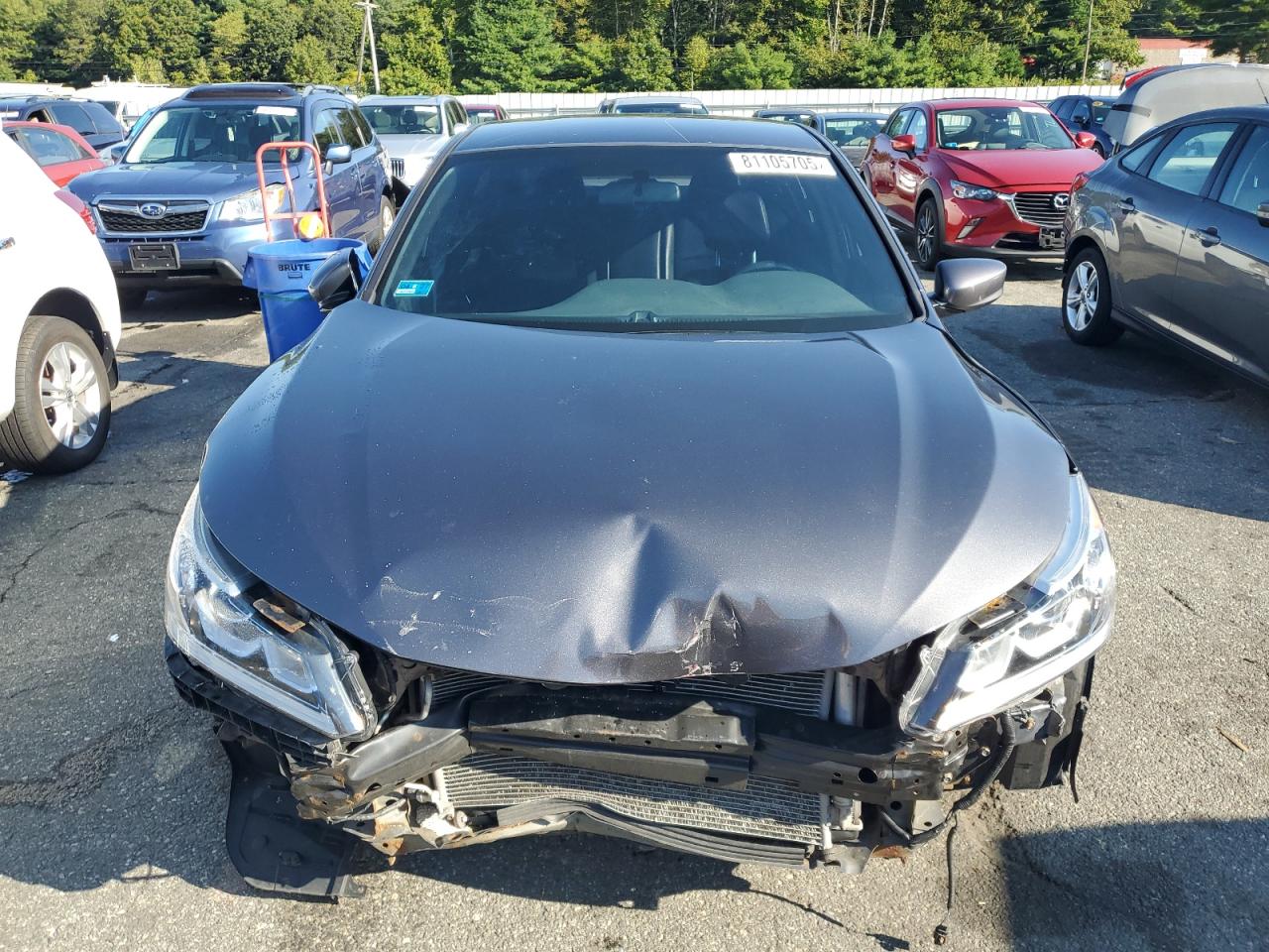 HONDA ACCORD SPORT SPECIAL EDITION