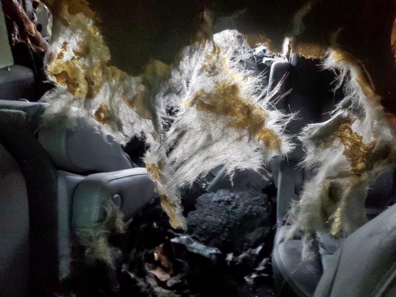 2016 CADILLAC ESCALADE P - 1GYS3CKJ9GR408827