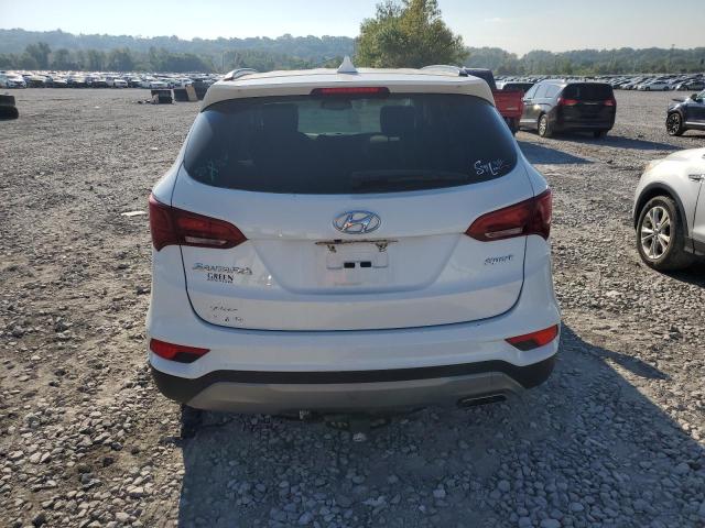 2017 HYUNDAI SANTA FE S 5XYZU3LB6HG383006
