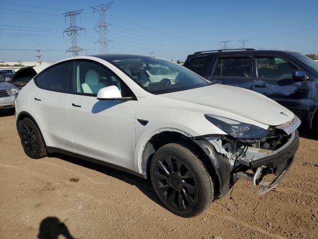 2023 TESLA MODEL Y #3290370774