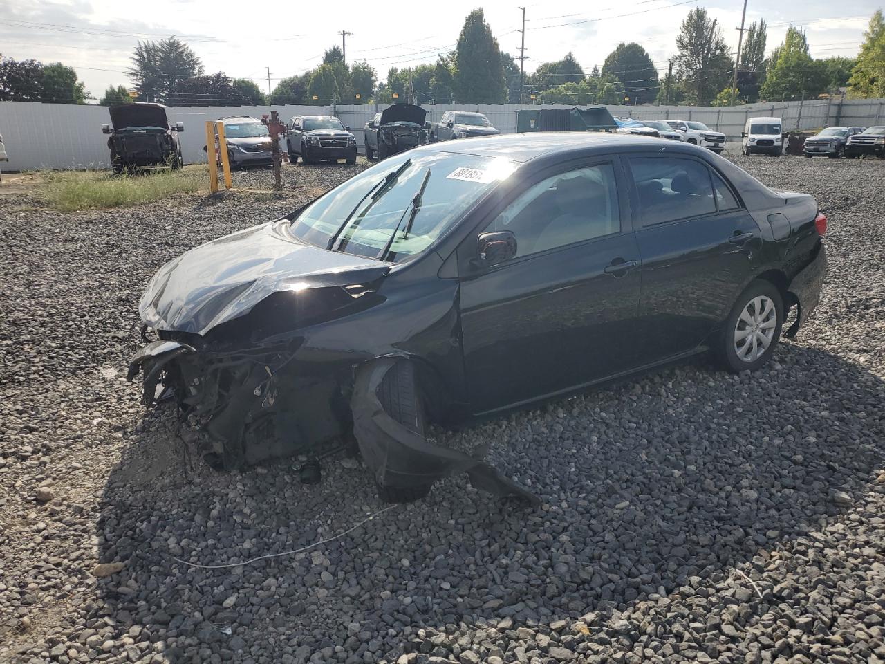 Lot #3268526979 2009 TOYOTA COROLLA BASE