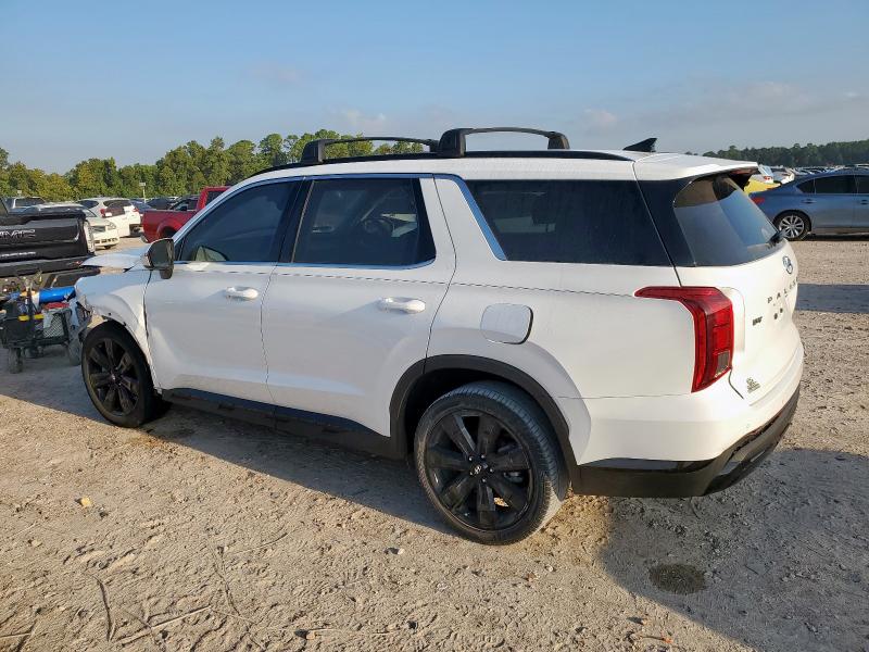 2025 HYUNDAI PALISADE X KM8R34GE5SU901847