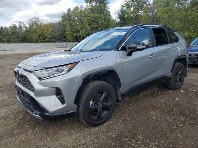 TOYOTA RAV4 XLE