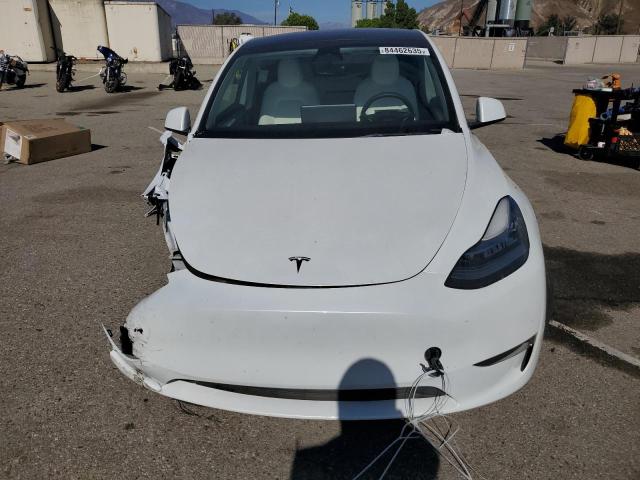 2023 TESLA MODEL Y #3319214708