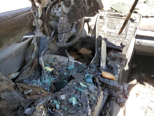 2017 TOYOTA CAMRY XSE 4T1BK1FK5HU031567