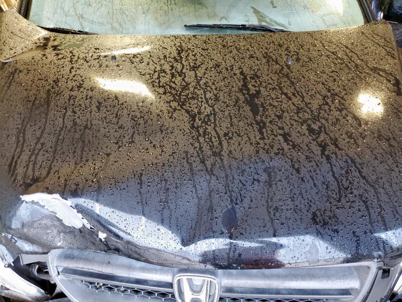 Lot #3316755429 2005 HONDA PILOT EXL