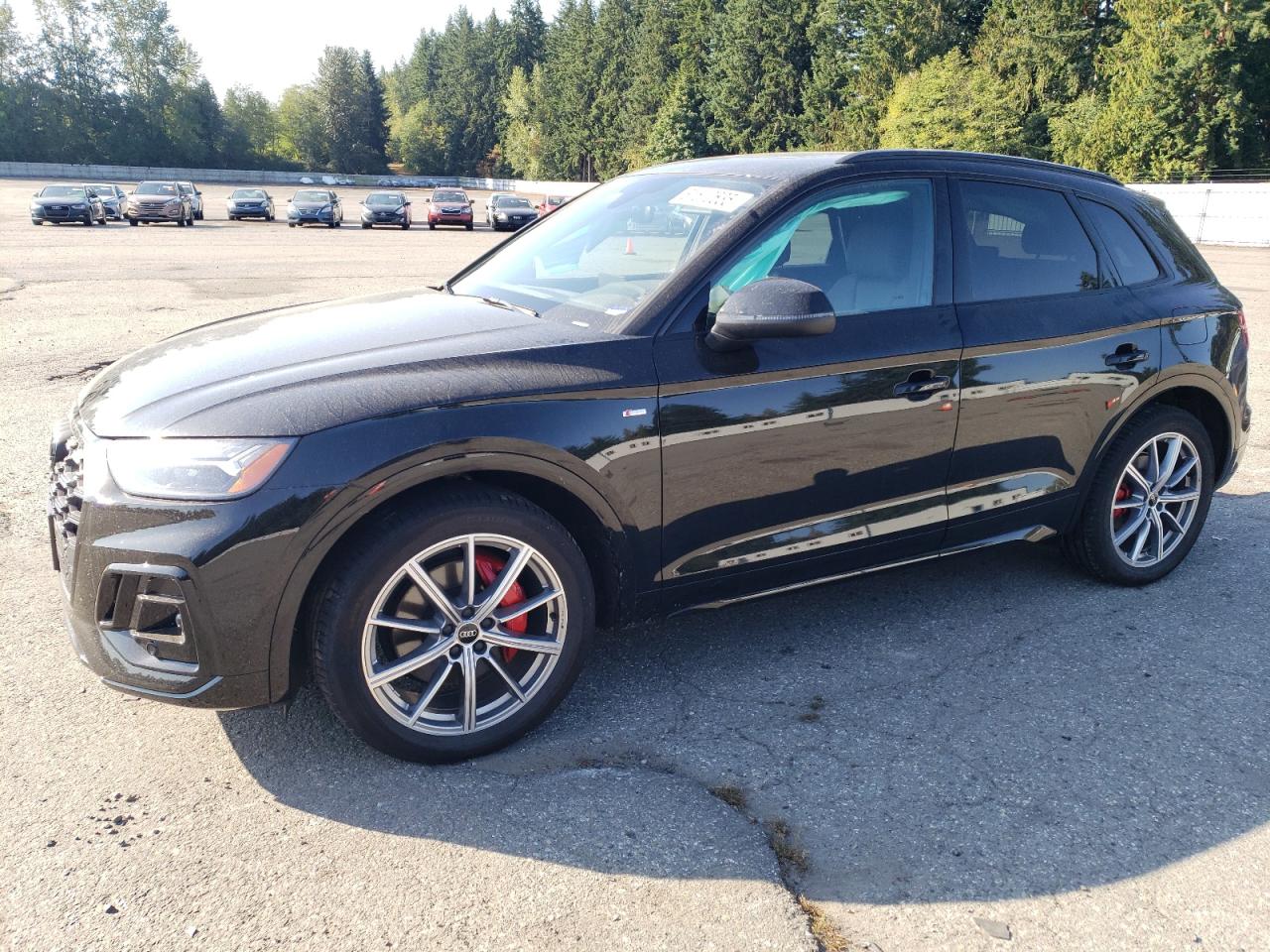 AUDI Q5 PREMIUM PLUS 55