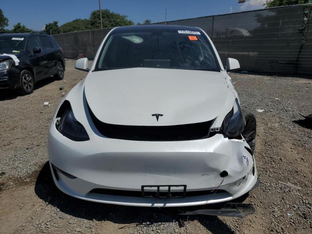 2023 TESLA MODEL Y #3302820905