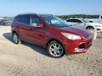 Lot #3304959955 2016 FORD ESCAPE TIT