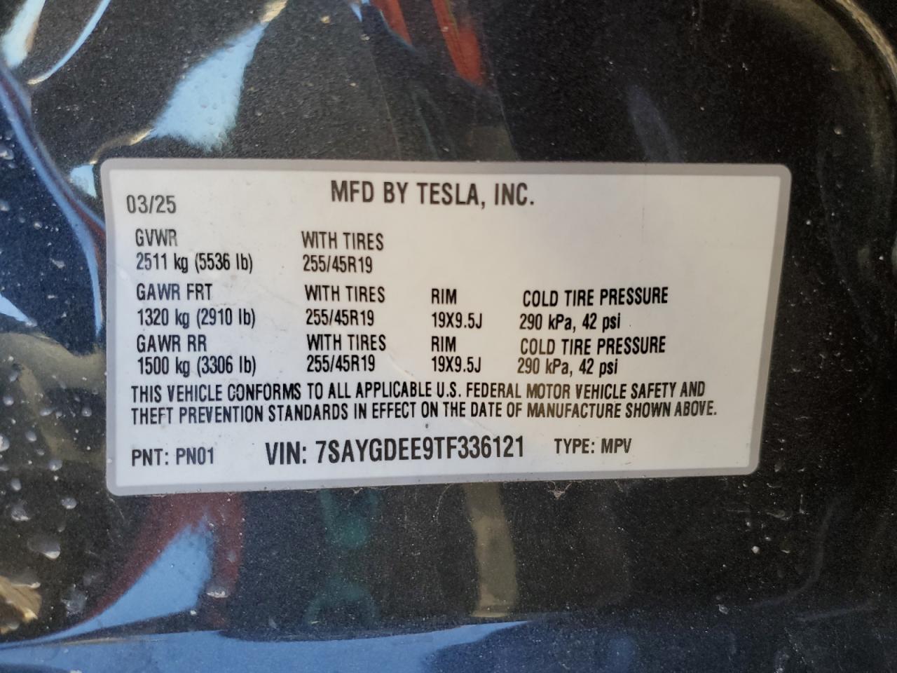 TESLA MODEL Y