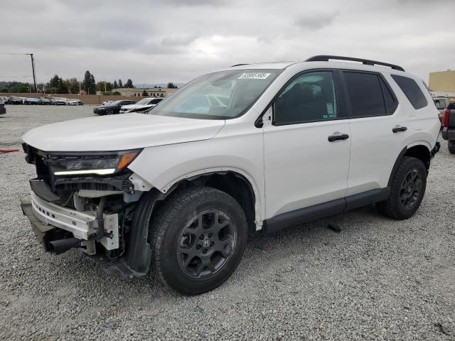 Global Auto Auctions: 2023 HONDA PILOT TRAI
