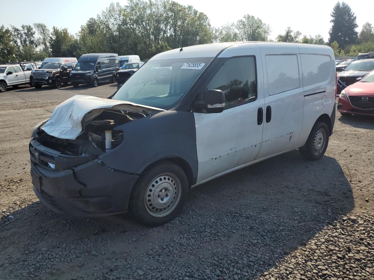 RAM PROMASTER