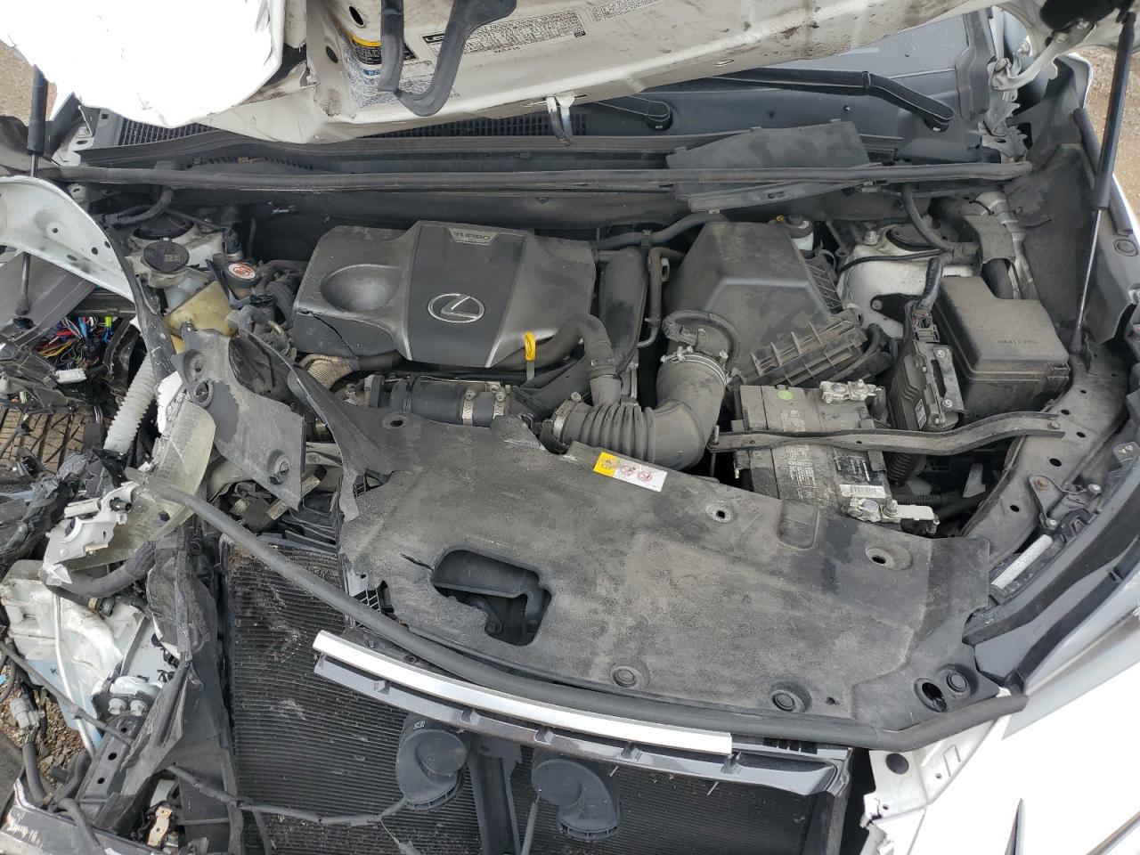 LEXUS NX 300 BASE