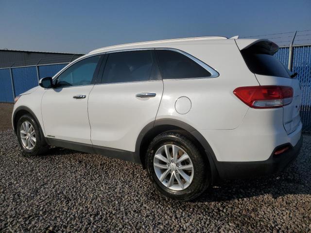 2018 KIA SORENTO LX 5XYPGDA52JG400116
