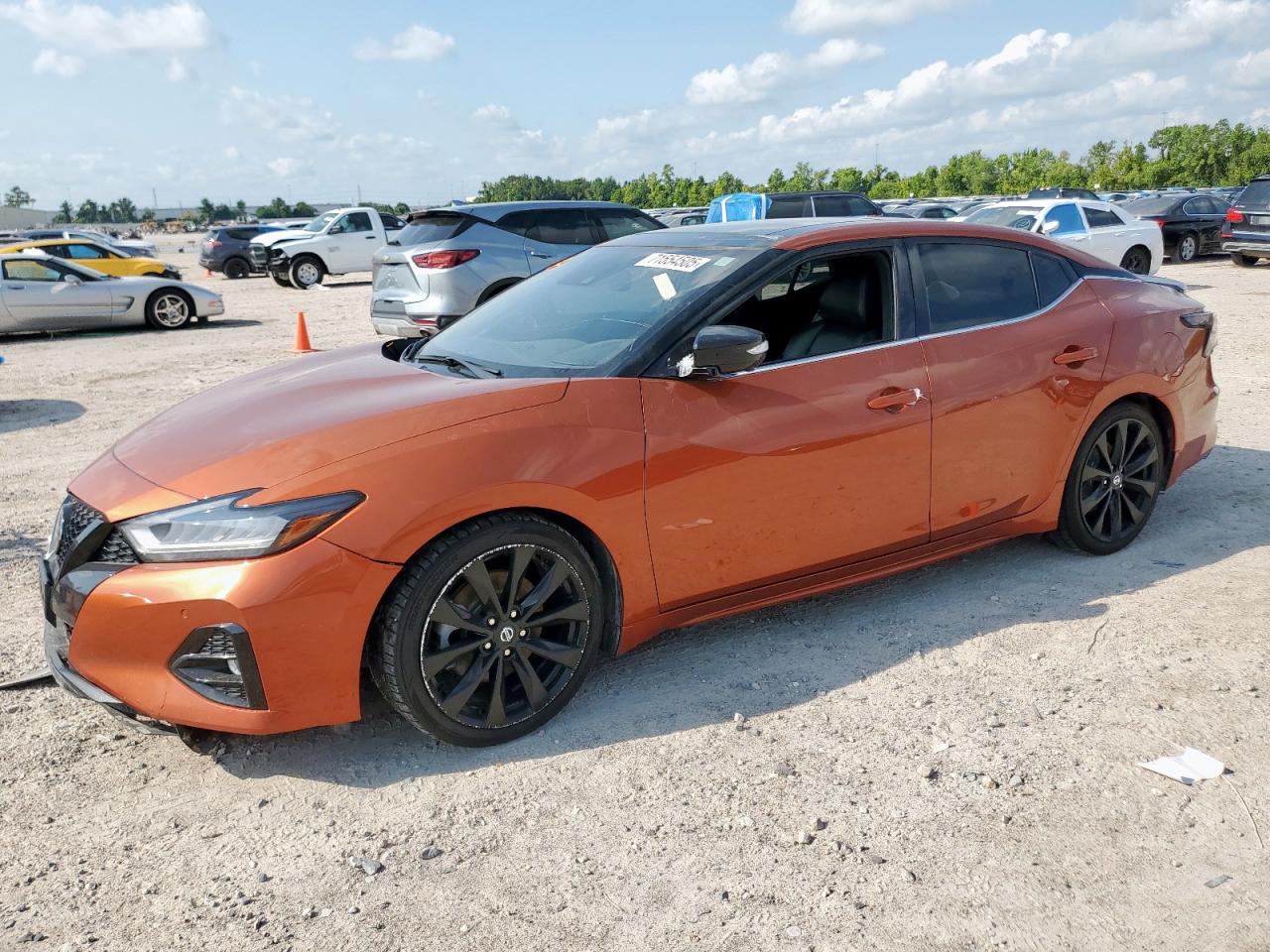 Lot #3284090550 2021 NISSAN MAXIMA SR