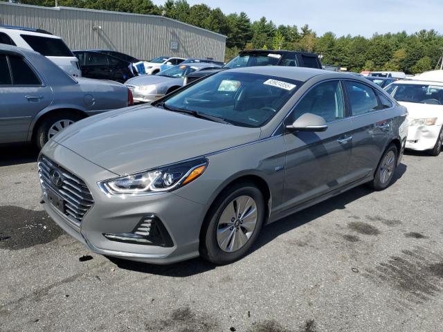 Global Auto Auctions: 2019 HYUNDAI SONATA HYBRID