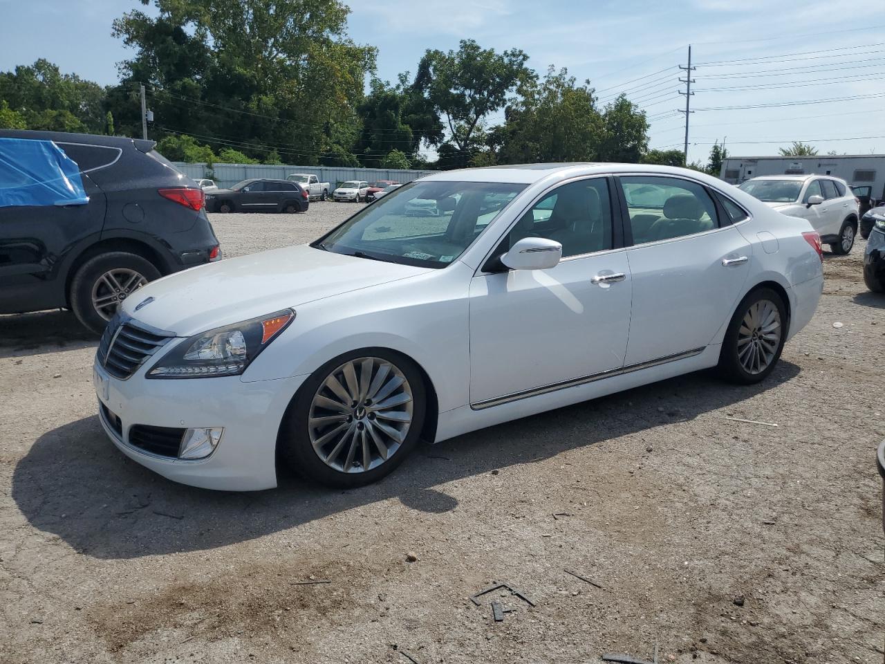 HYUNDAI EQUUS SIGNATURE