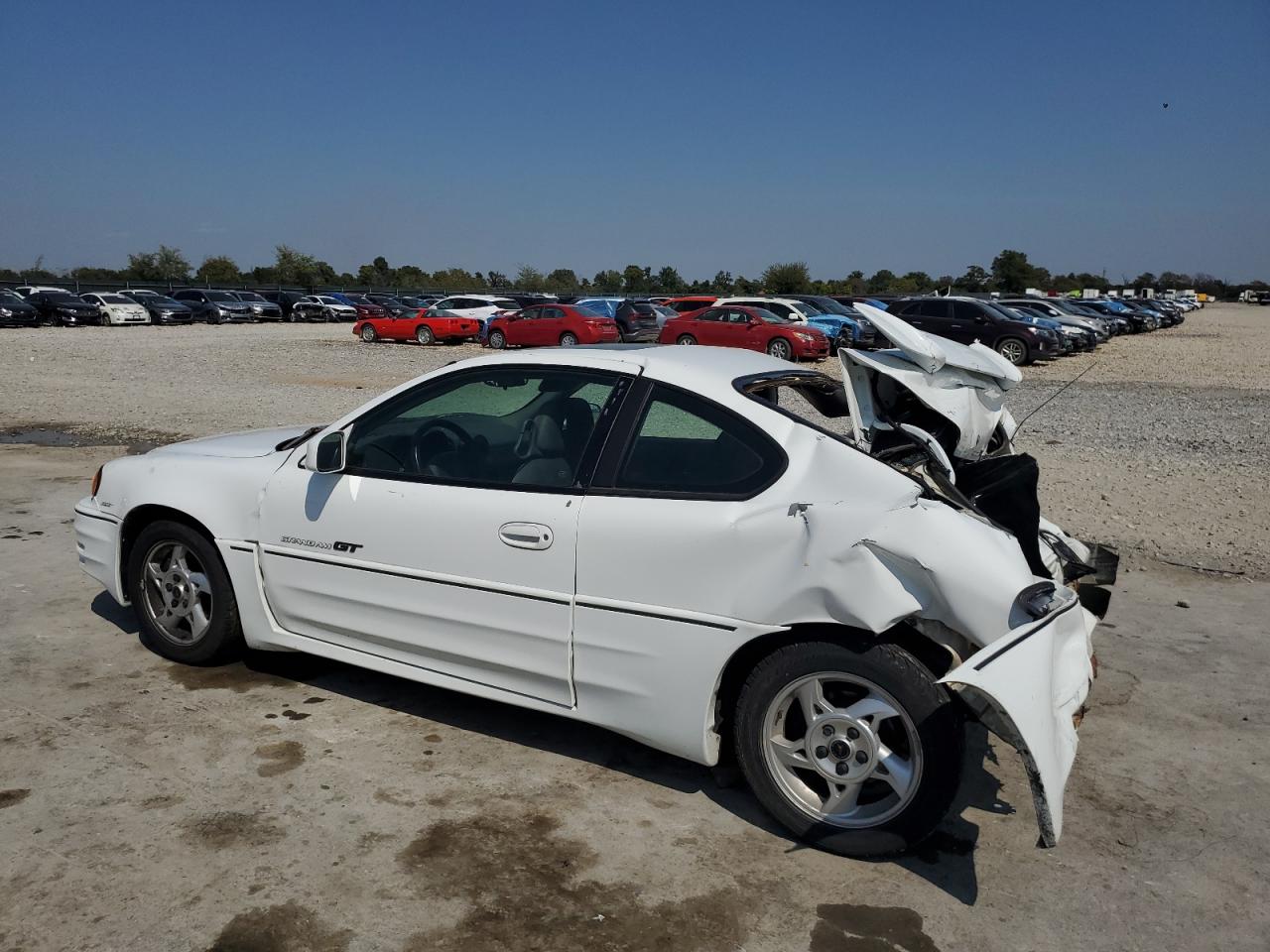 Global Auto Auctions