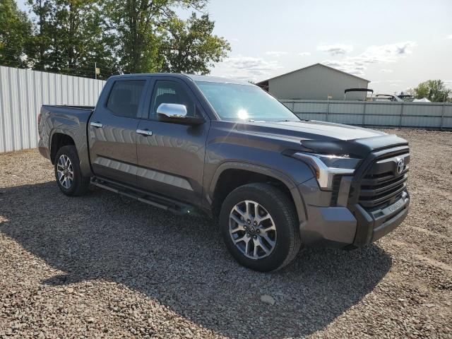 2024 TOYOTA TUNDRA CREWMAX SR 5TFKB5DB8RX135419