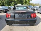 Lot #3302650043 2001 FORD MUSTANG
