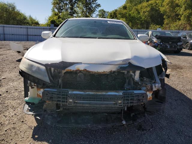 2014 HONDA ACCORD EX - 1HGCT1B77EA800902